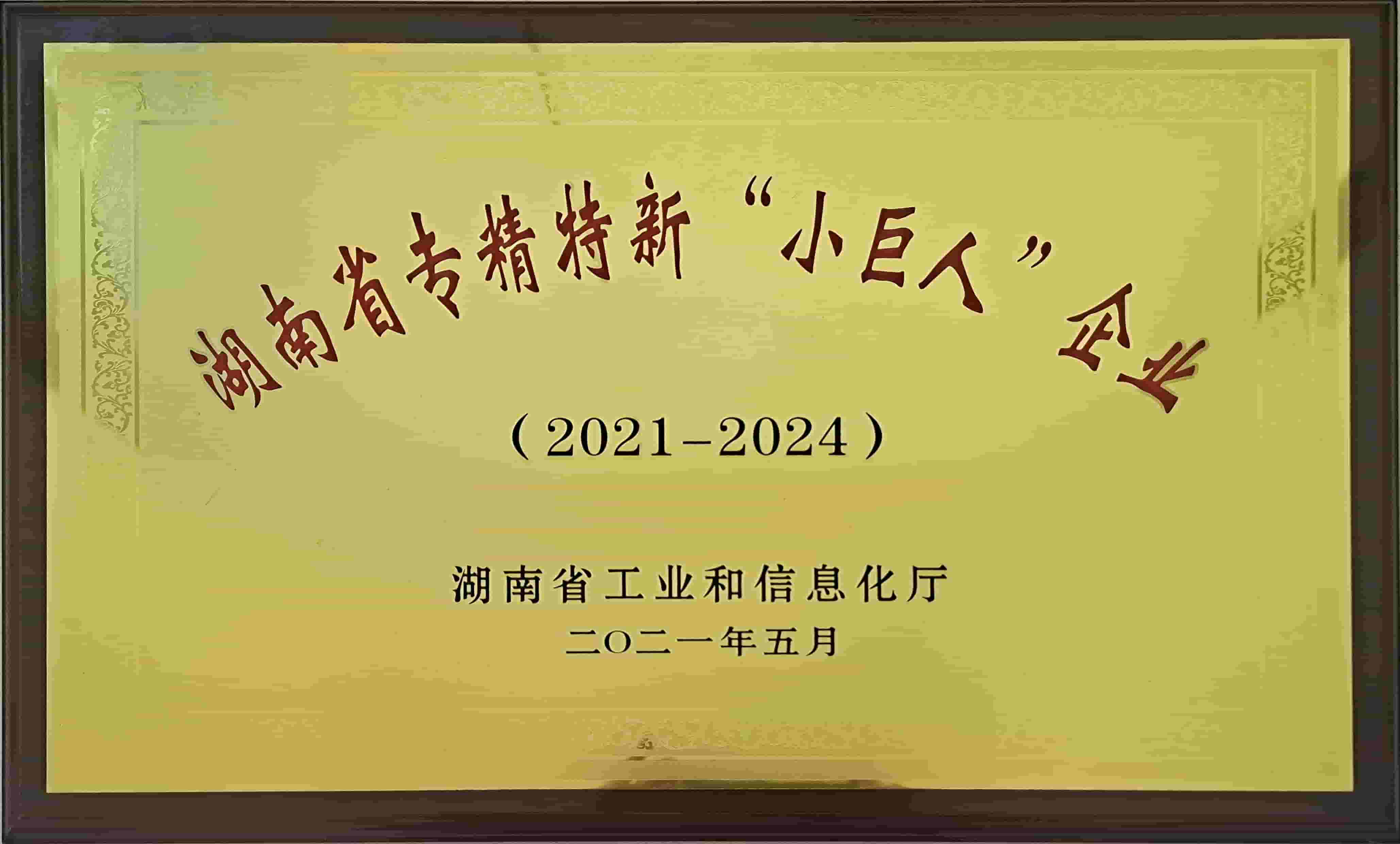湖南省專精特新小巨人企業(yè)