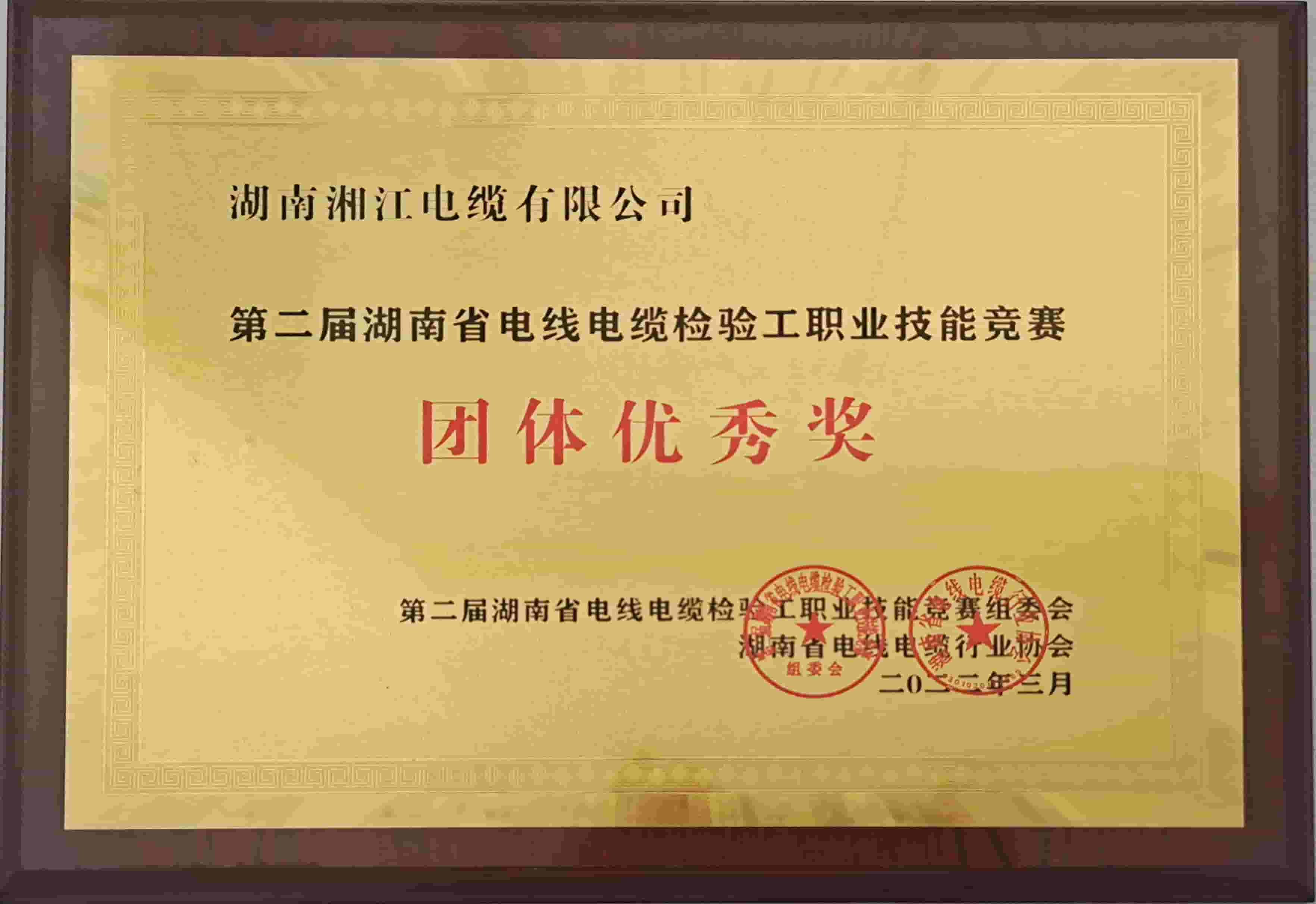 第二屆優(yōu)秀團體獎