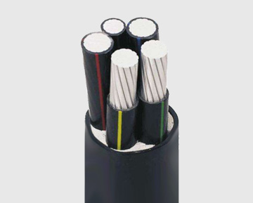 交聯(lián)聚乙烯絕緣鋁合金電力電纜 交聯(lián)聚乙烯絕緣鋁合金電力電纜